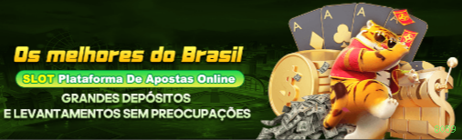 8059 Brasil